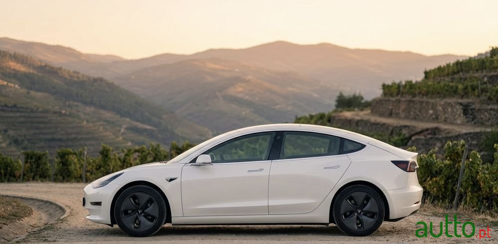 2019' Tesla Model 3 photo #3