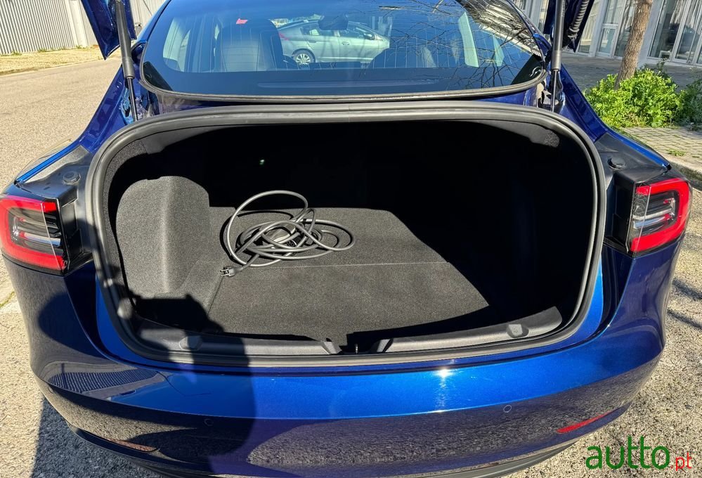 2020' Tesla Model 3 photo #6