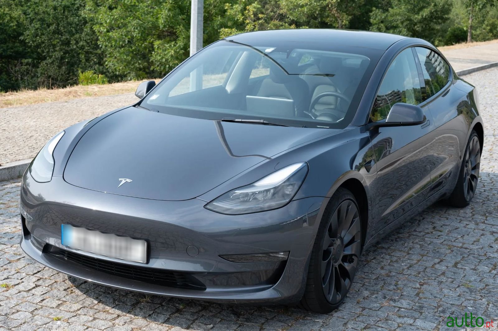 2021' Tesla Model 3 photo #3