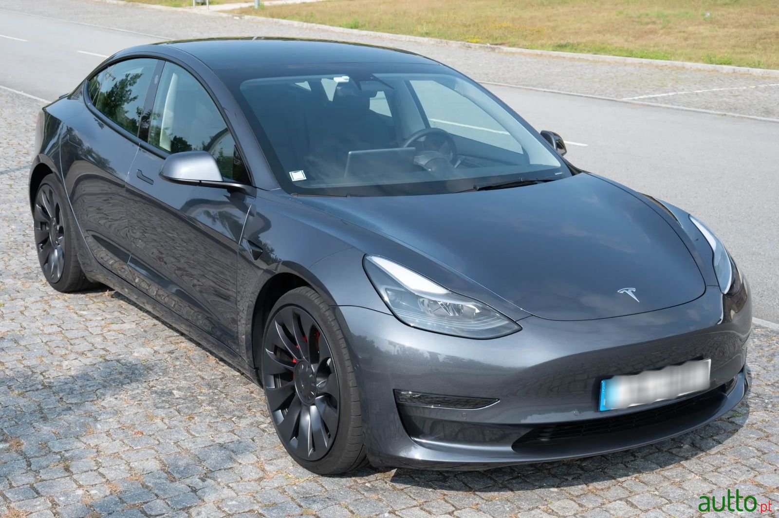2021' Tesla Model 3 photo #1
