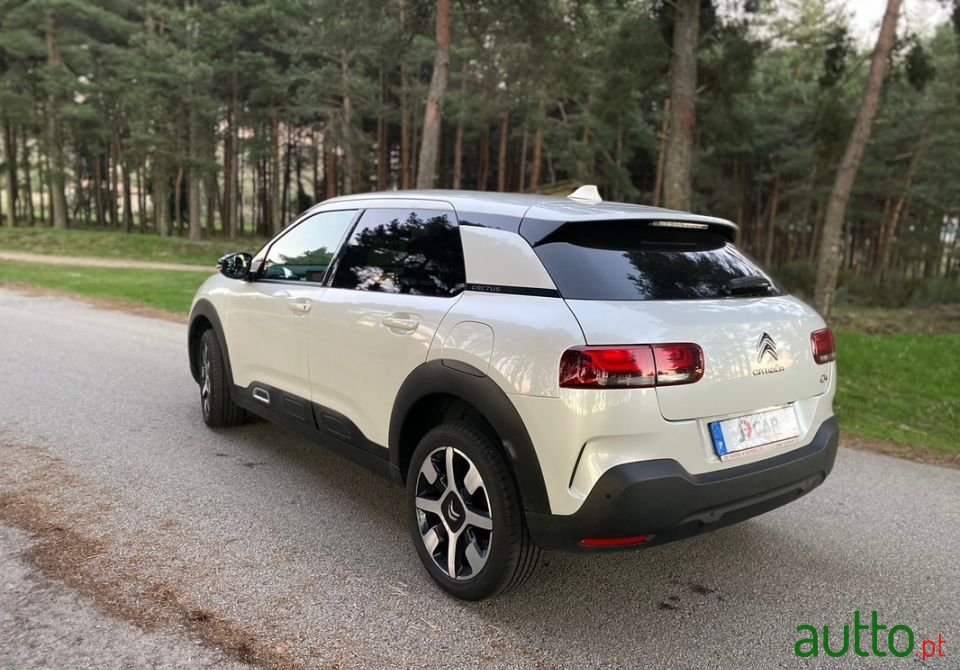 2019' Citroen C4 Cactus photo #5