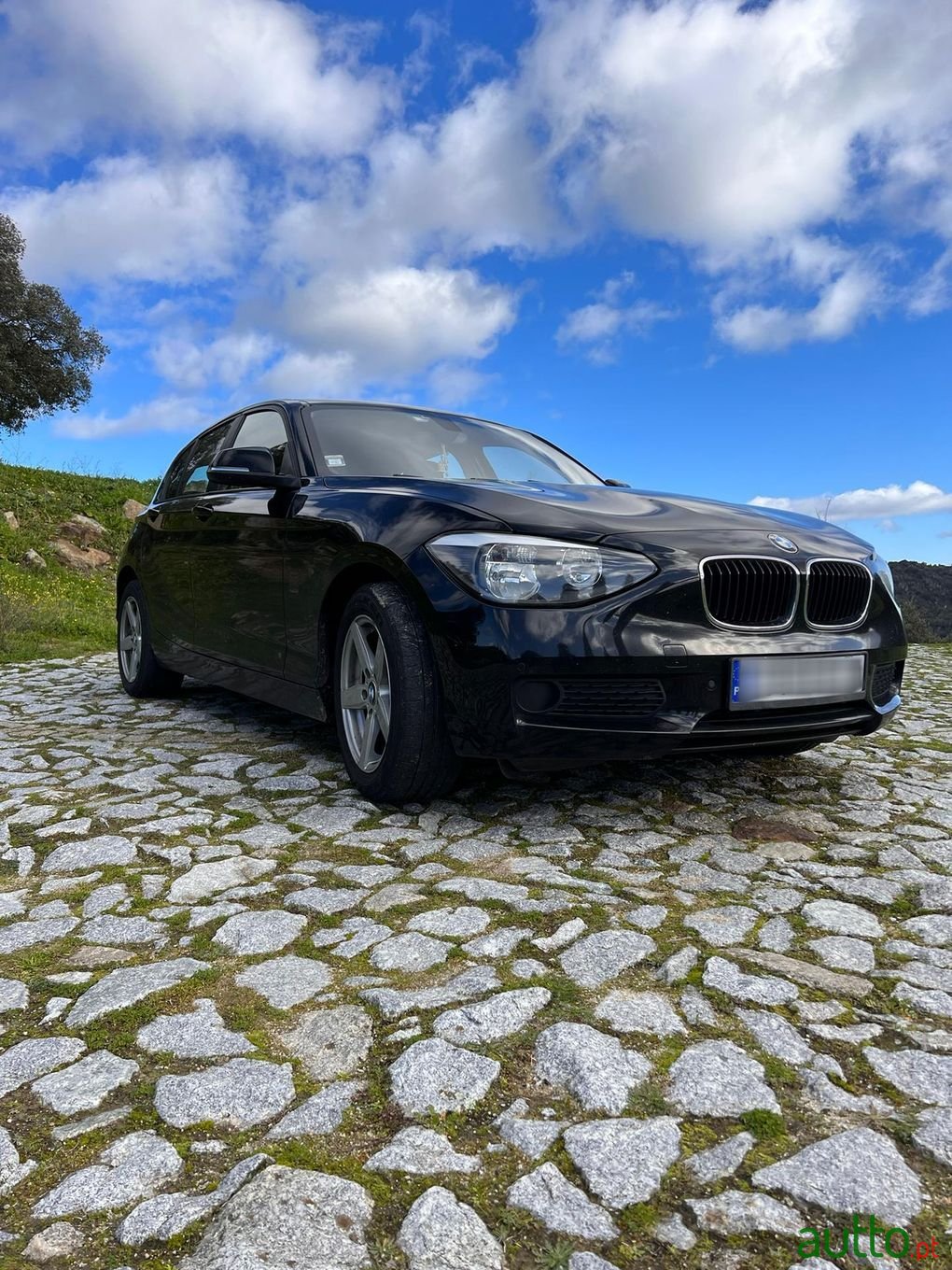 2015' BMW 116 photo #5