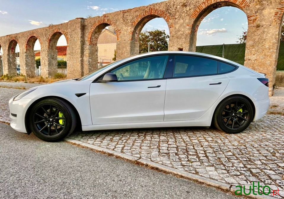 2019' Tesla Model 3 photo #3