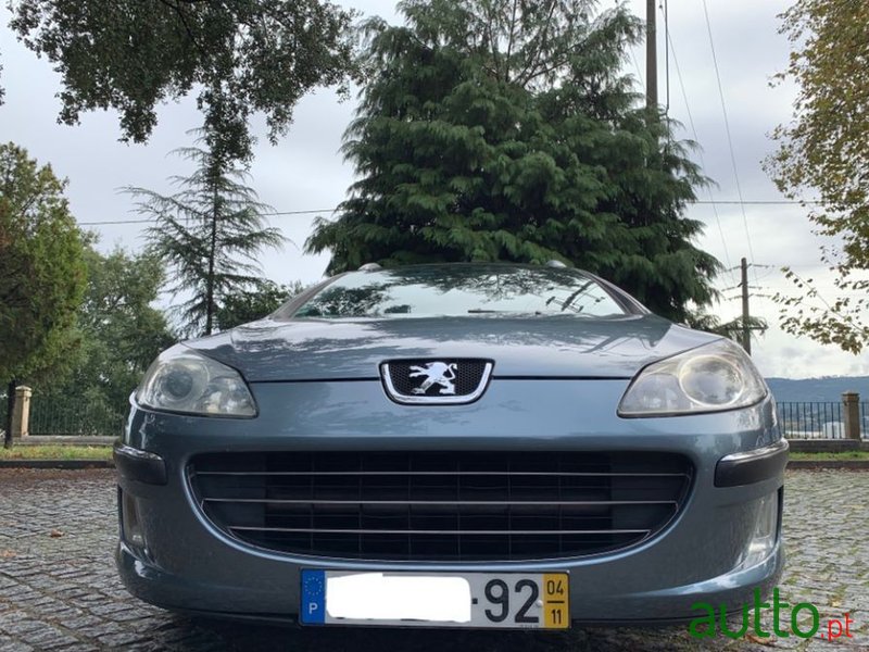 2004' Peugeot 407 Sw photo #2