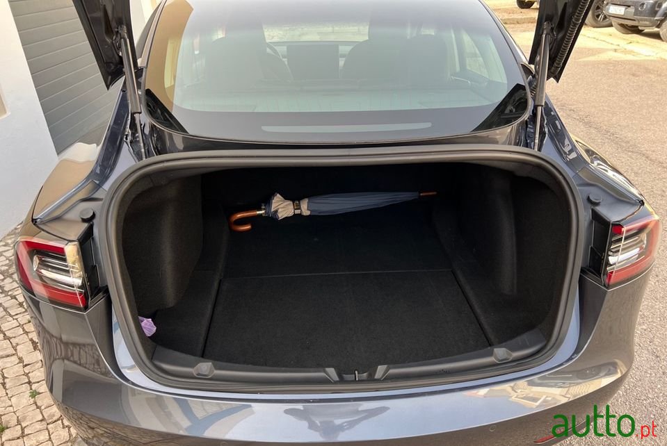 2020' Tesla Model3 photo #5