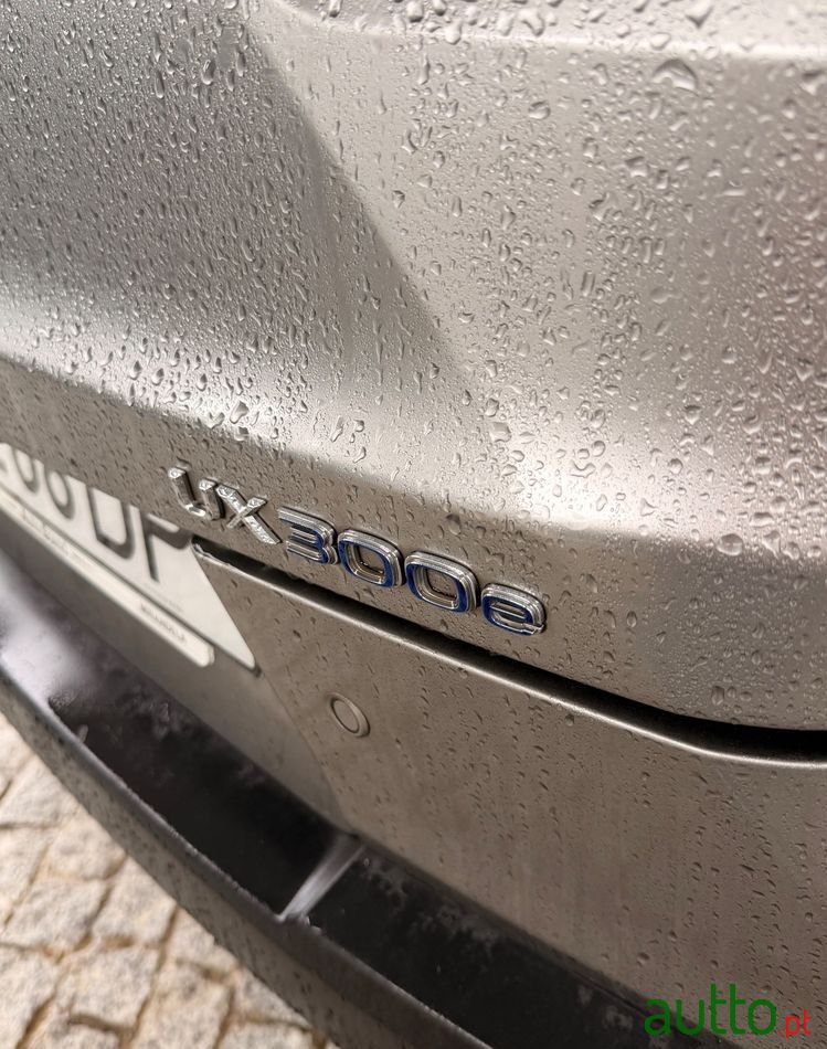 2021' Lexus UX photo #3