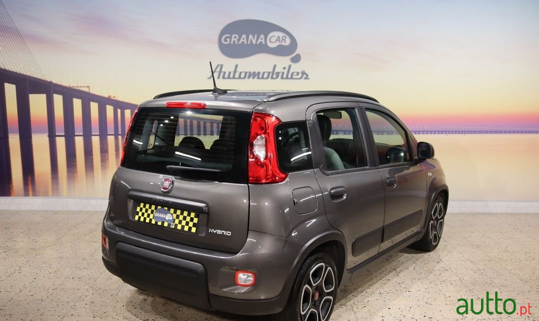 2021' Fiat Panda photo #4