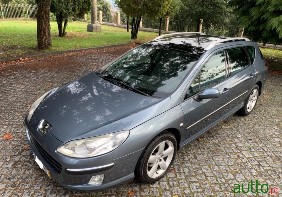 2004' Peugeot 407 Sw photo #5