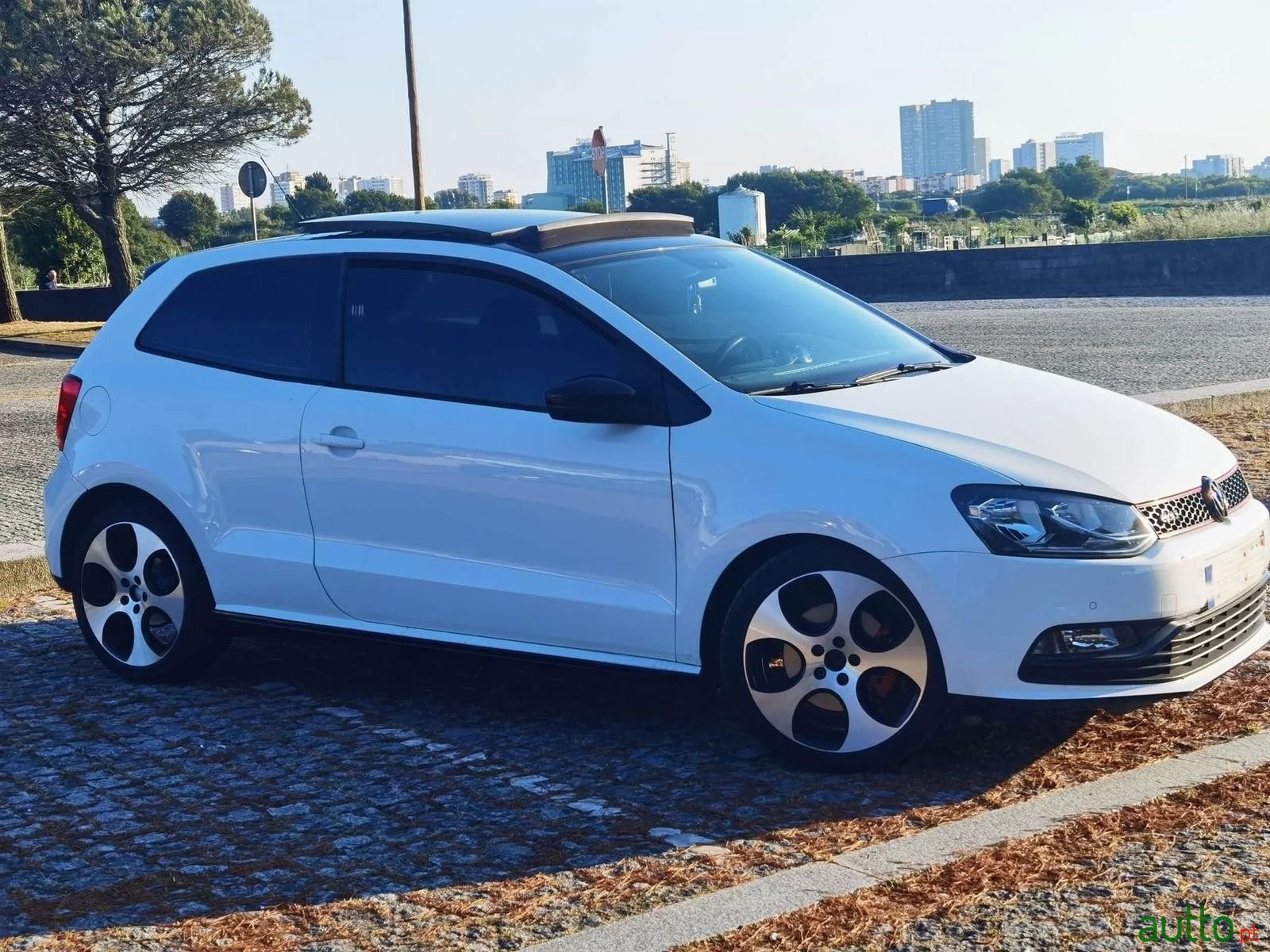 2011' Volkswagen Polo photo #4