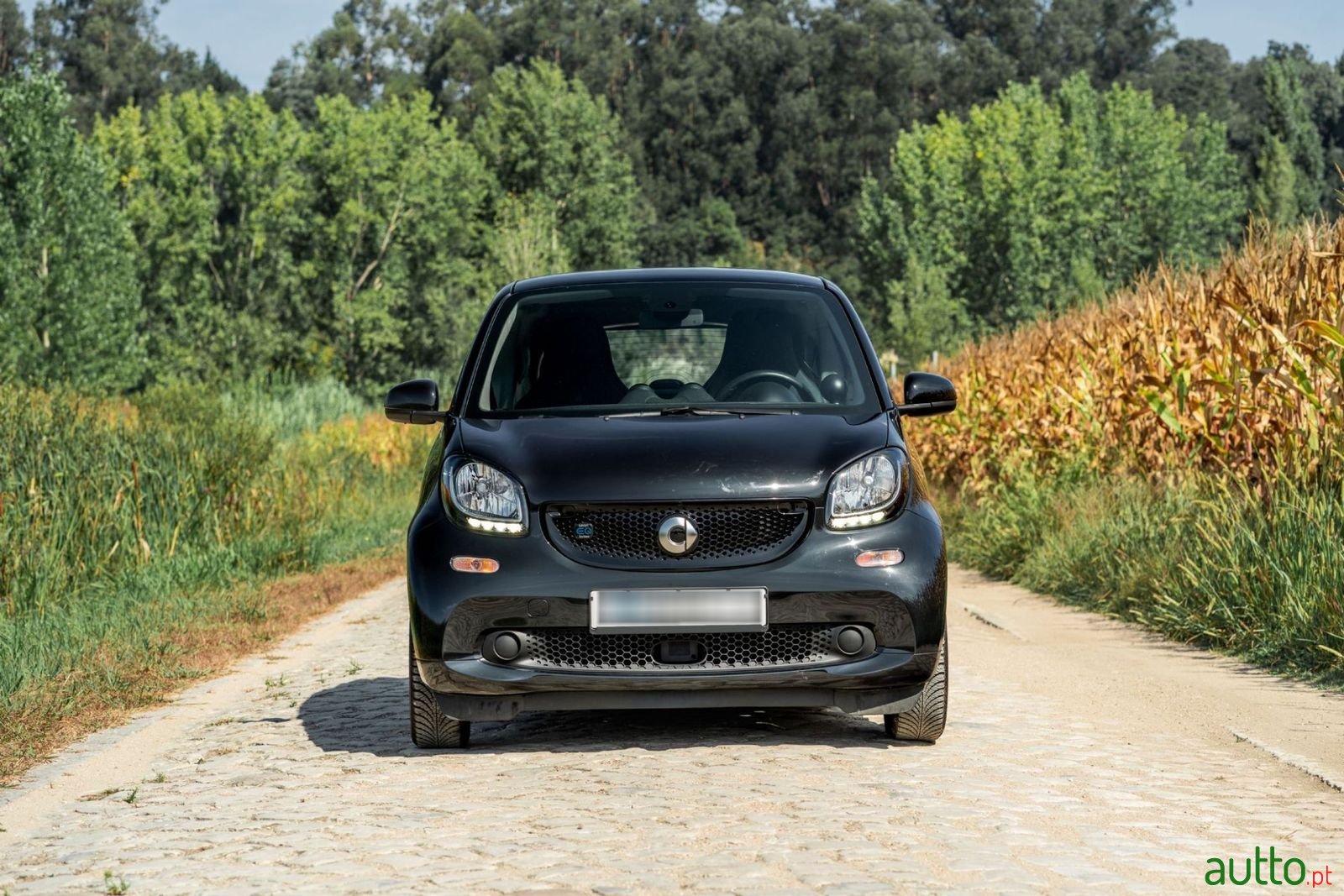 2019' Smart Fortwo photo #3