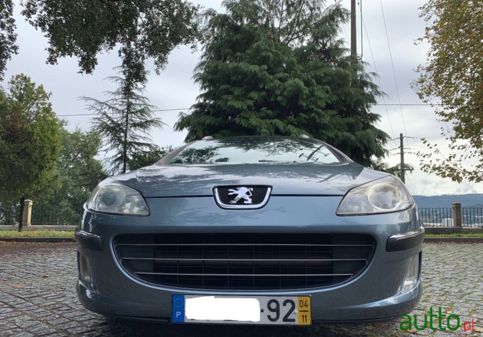 2004' Peugeot 407 Sw photo #2