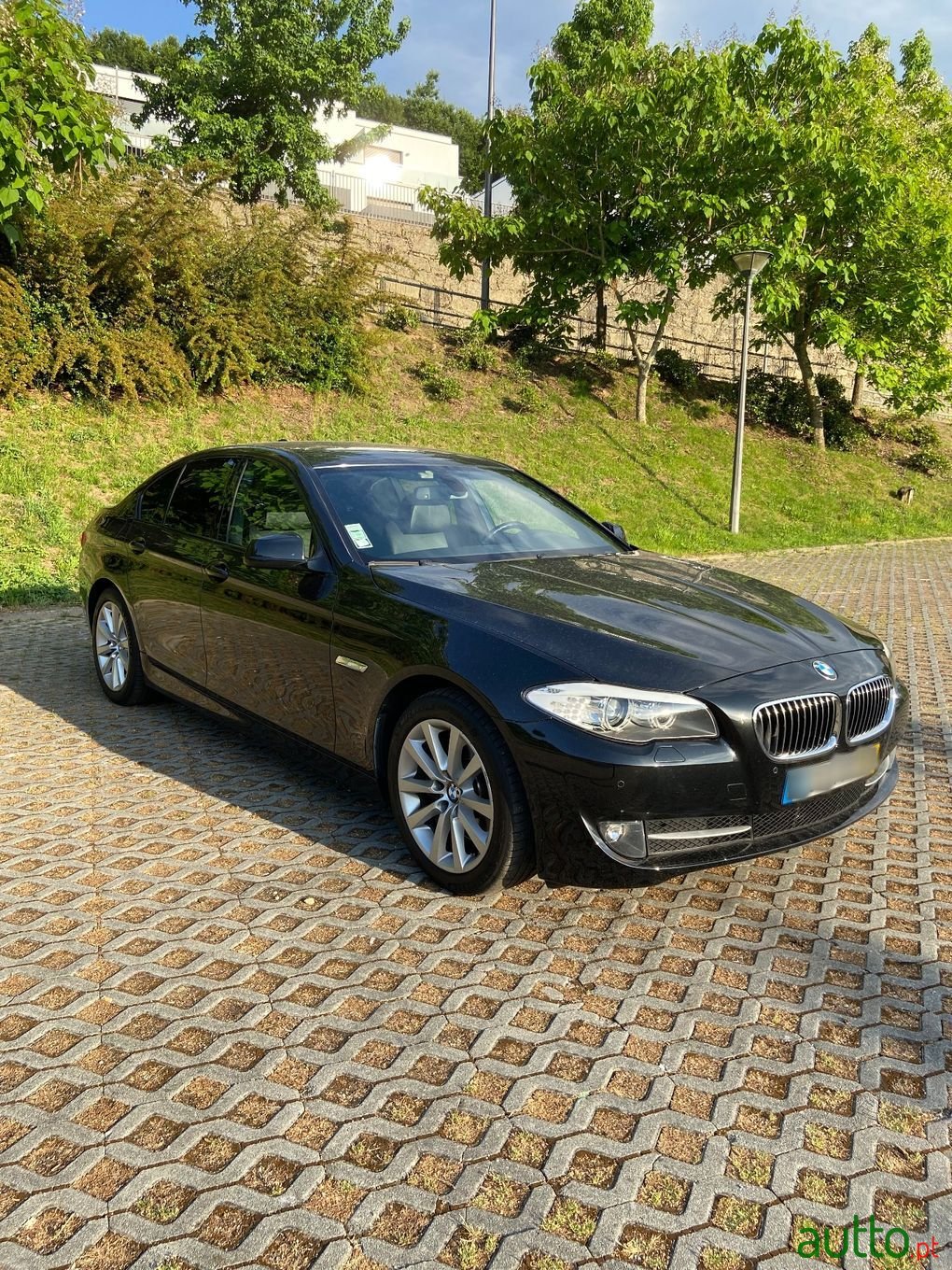 2010' BMW 525 photo #2