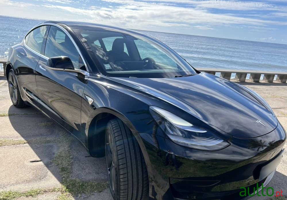 2020' Tesla Model 3 photo #5