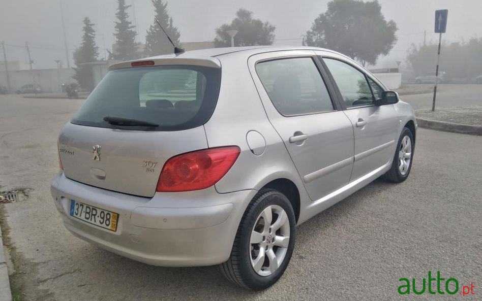 2006' Peugeot 307 Sport photo #1