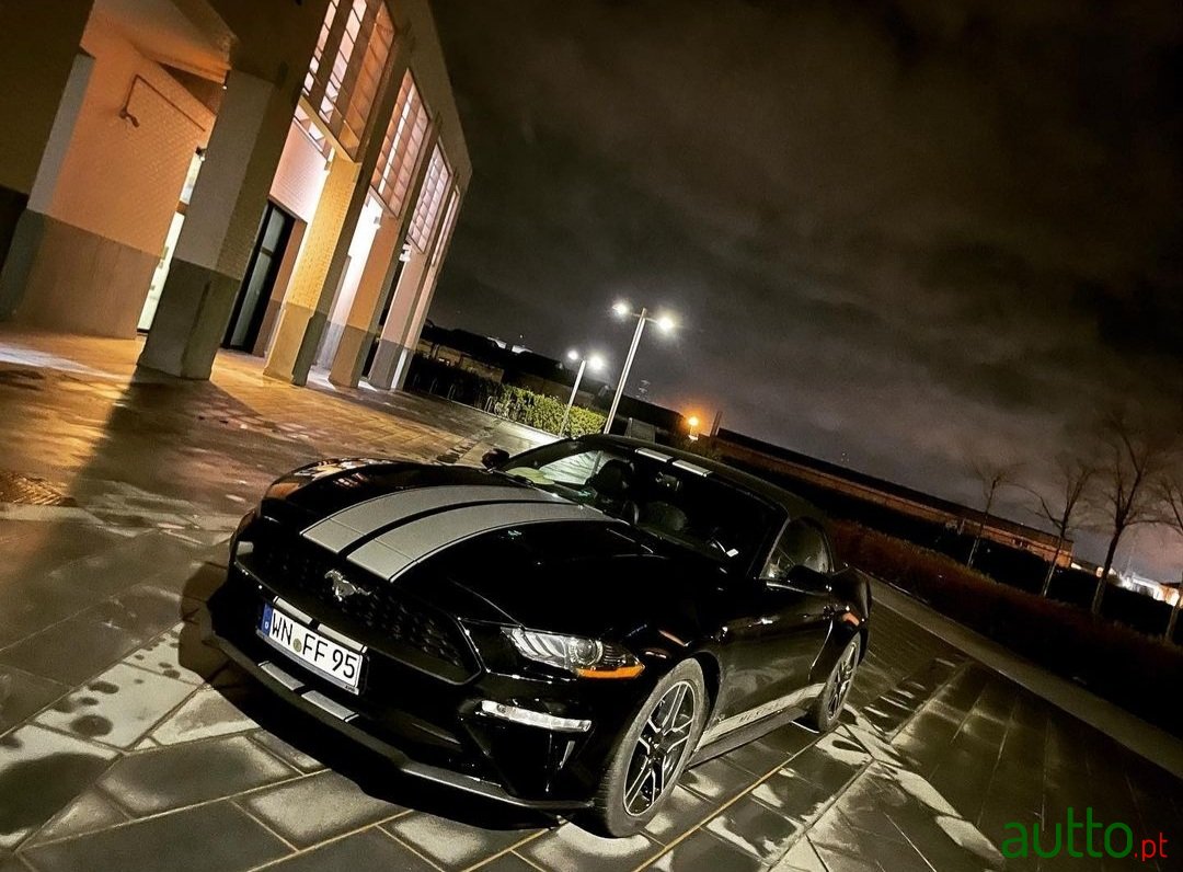 2019' Ford Mustang 2.3 EcoBoost photo #5