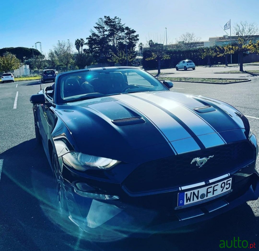 2019' Ford Mustang 2.3 EcoBoost photo #1