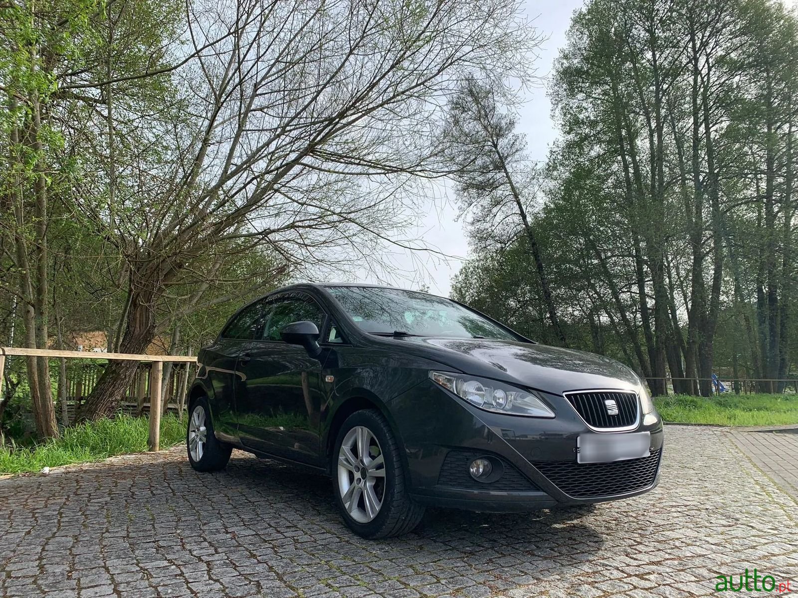 2009' SEAT Ibiza photo #6