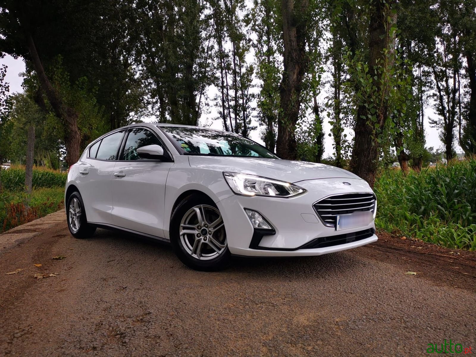 2018' Ford Focus photo #4