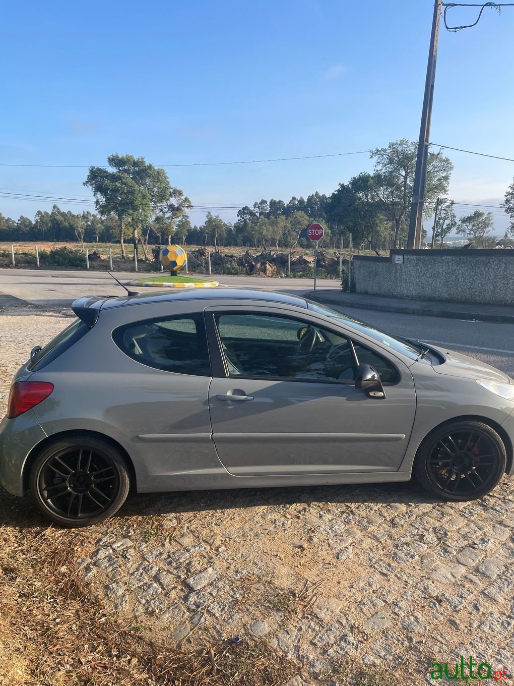 2007' Peugeot 207 photo #4