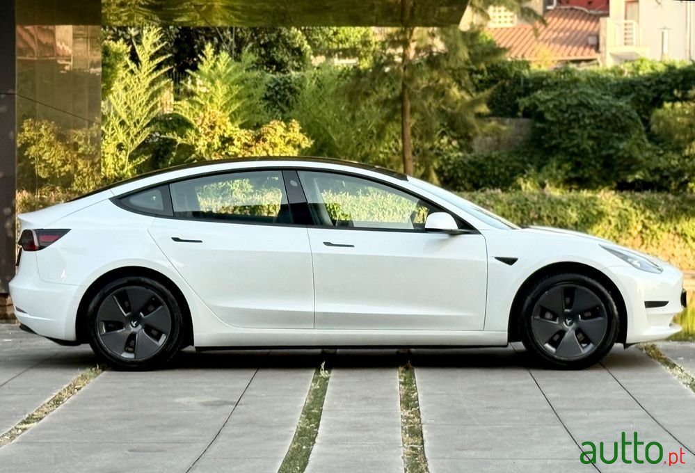 2021' Tesla Model 3 photo #3