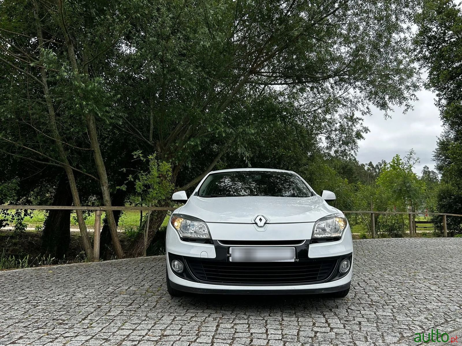 2013' Renault Megane photo #5