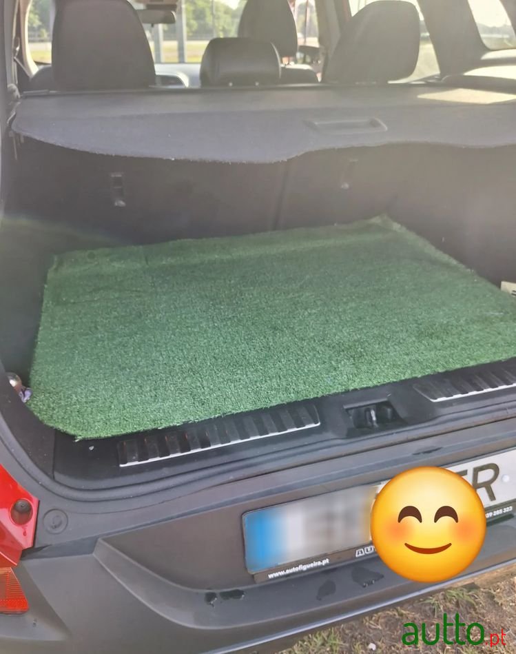 2015' Renault Kadjar photo #6