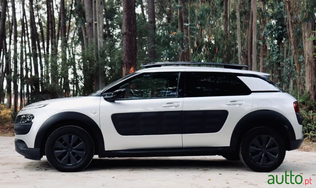 2015' Citroen C4 Cactus photo #4