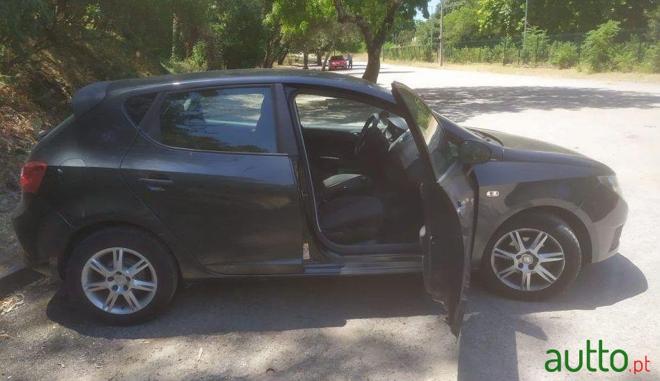 2010' SEAT Ibiza photo #2