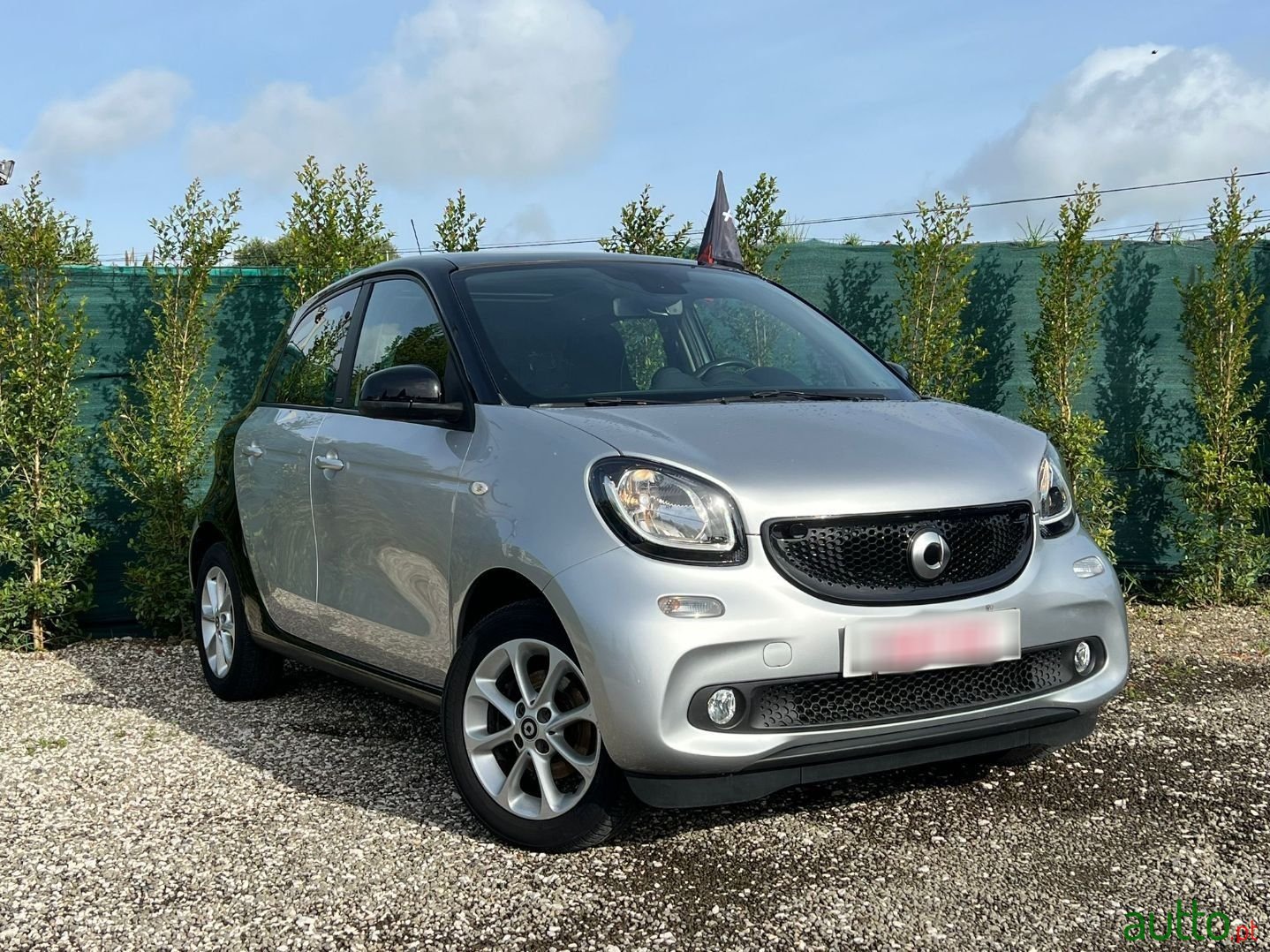 2016' Smart Forfour photo #1