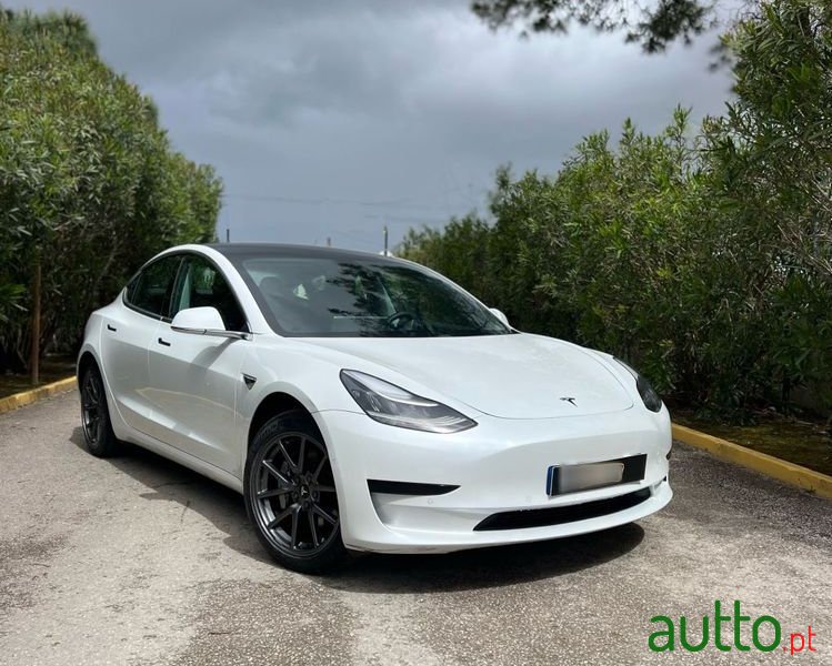 2019' Tesla Model 3 photo #1