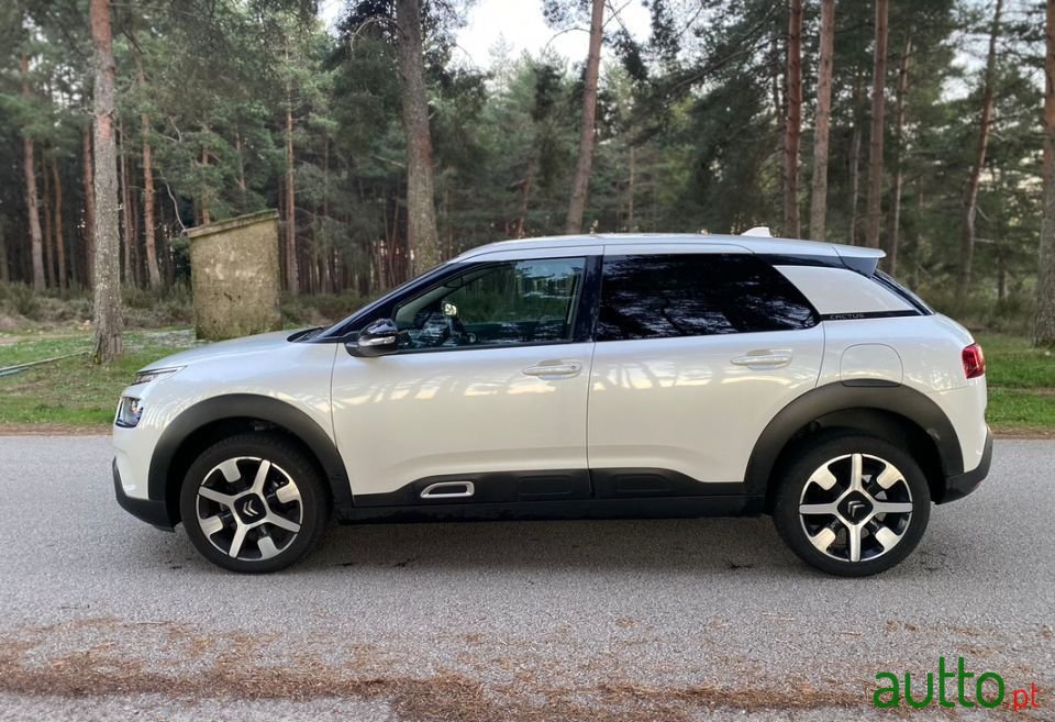 2019' Citroen C4 Cactus photo #2