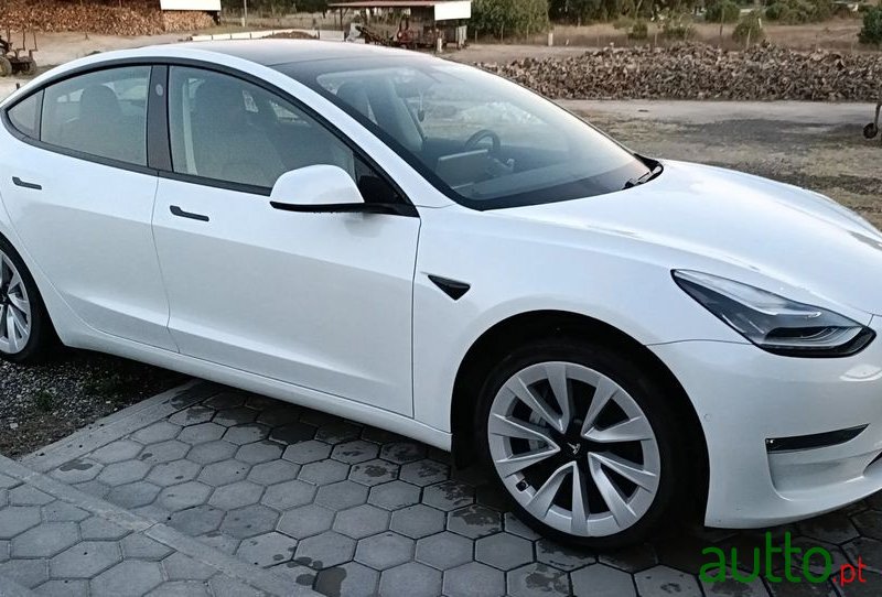 2020' Tesla Model 3 photo #1