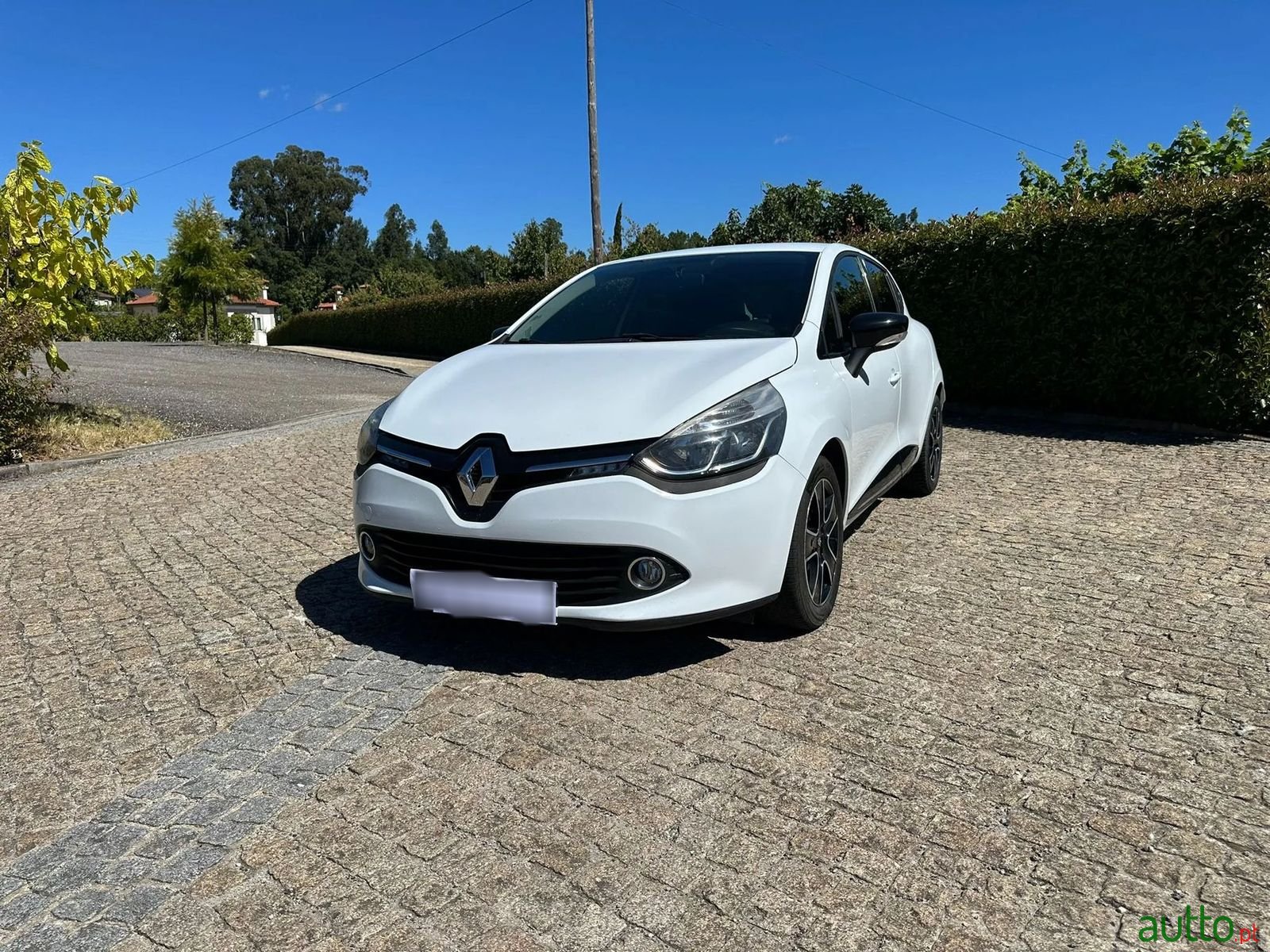 2013' Renault Clio photo #1