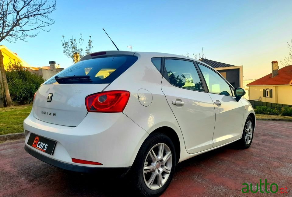 2010' SEAT Ibiza photo #4