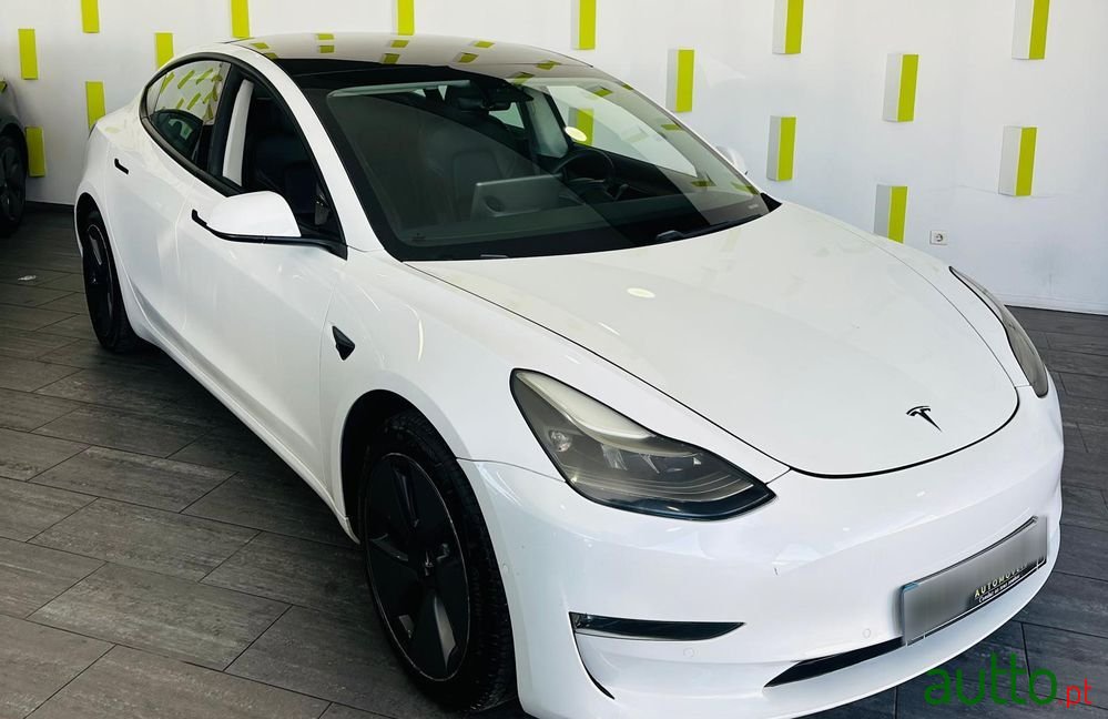 2021' Tesla Model 3 photo #1
