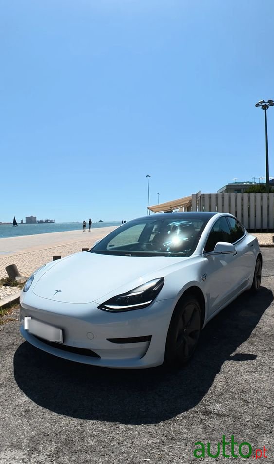 2020' Tesla Model 3 photo #1