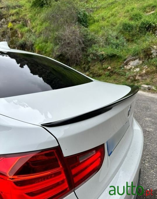 2013' BMW 318 photo #3