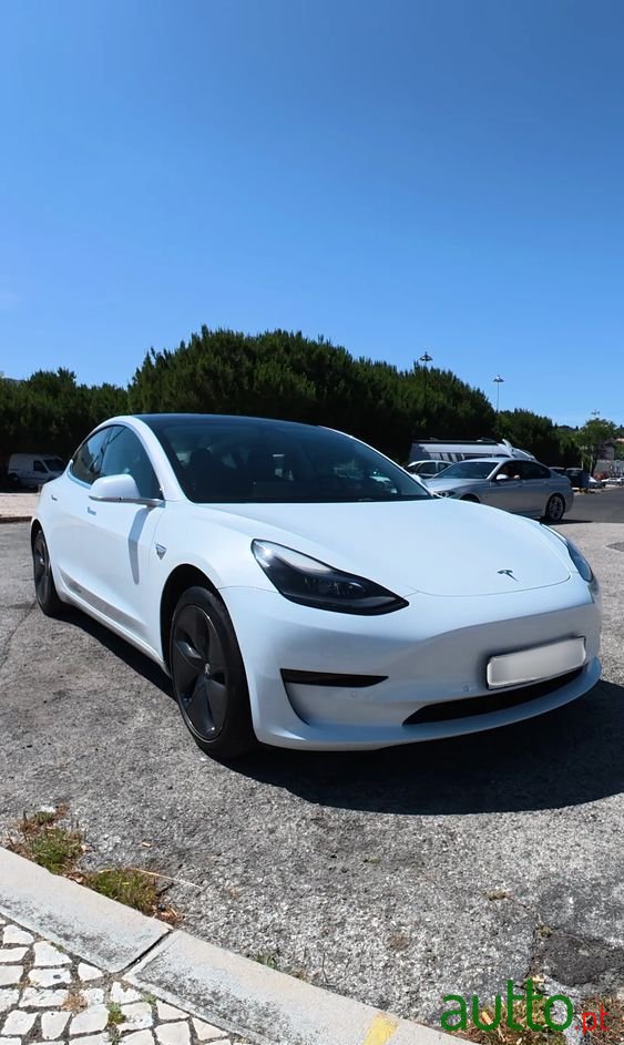 2020' Tesla Model 3 photo #2