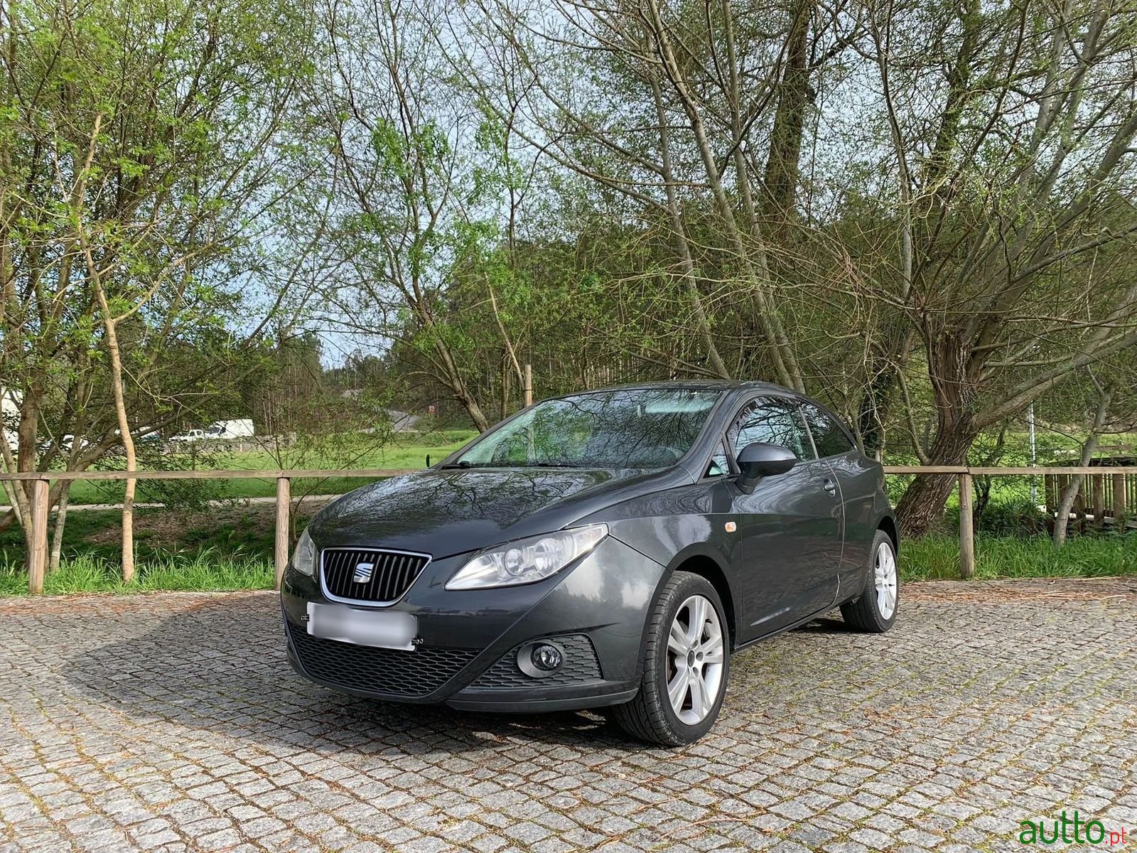 2009' SEAT Ibiza photo #2