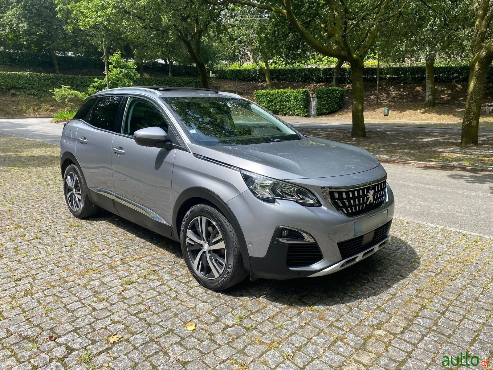 2018' Peugeot 3008 photo #2