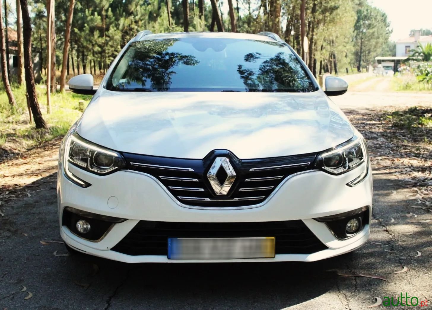 2019' Renault Megane Sport Tourer photo #1