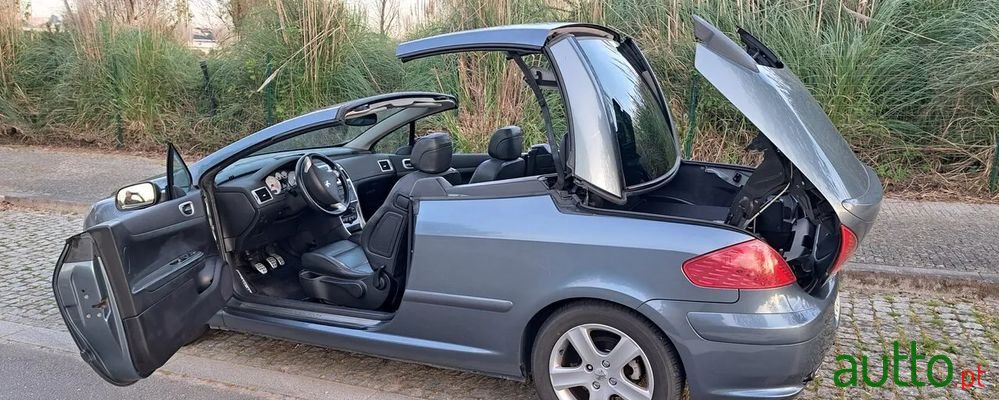 2004' Peugeot 307 photo #5