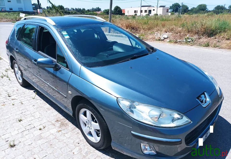 2006' Peugeot 407 Sw photo #2