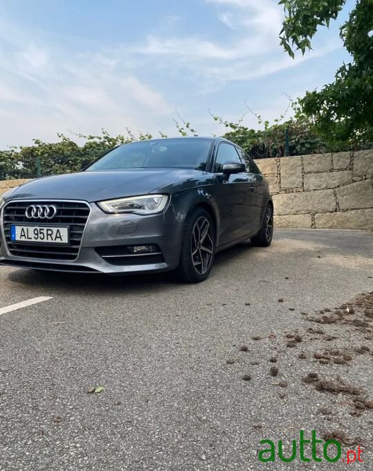 2013' Audi A3 Sport photo #2