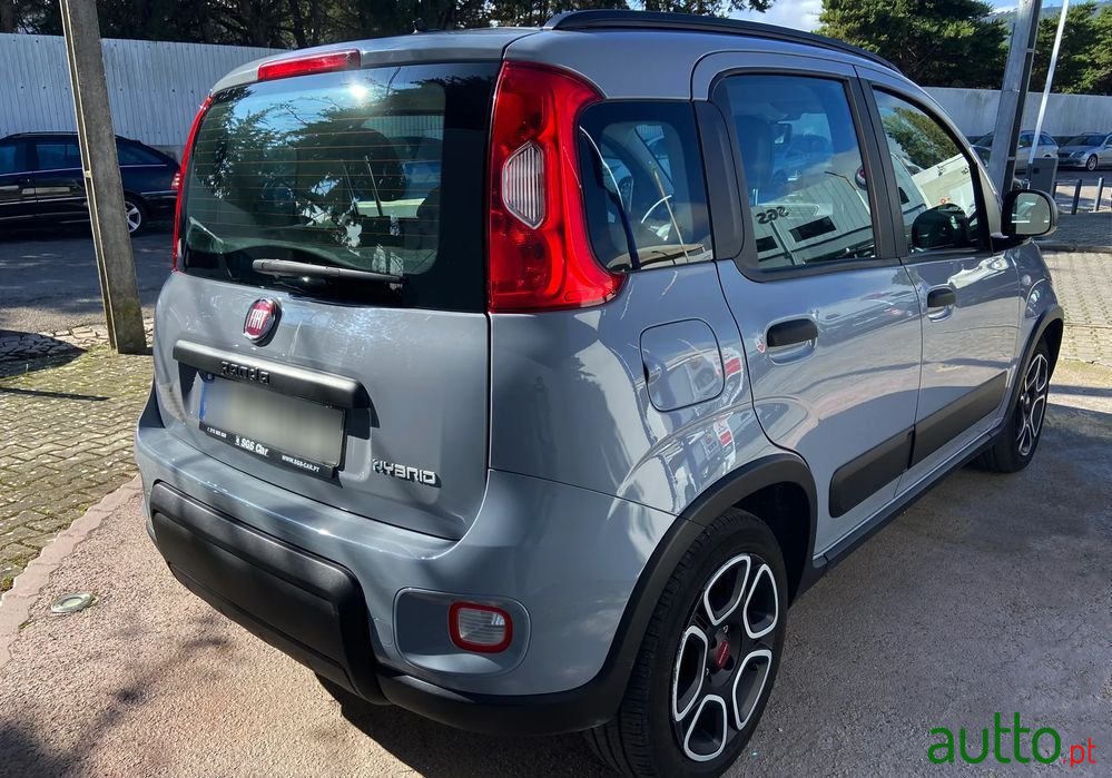 2021' Fiat Panda photo #5