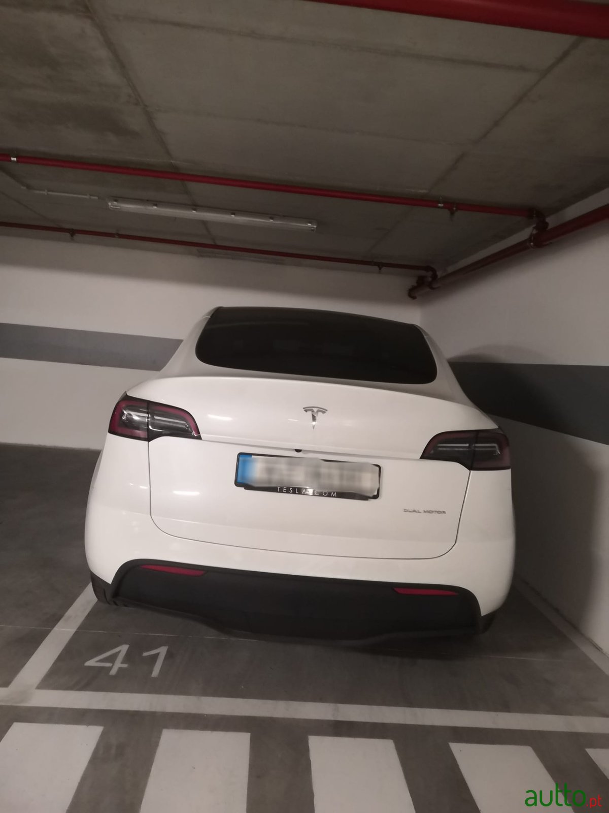 2023' Tesla Model Y photo #5