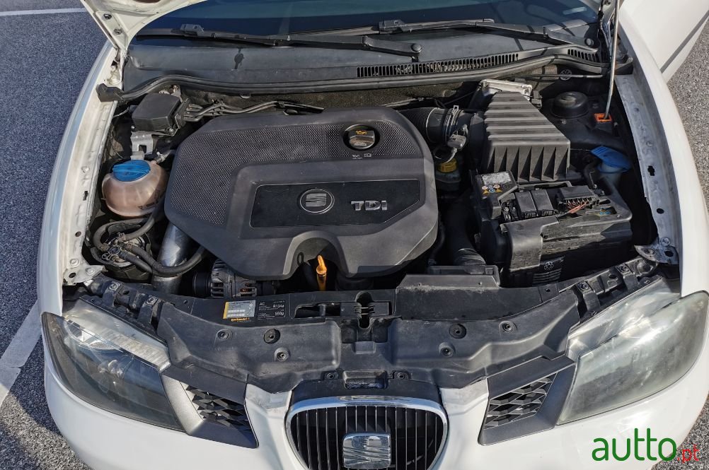 2007' SEAT Ibiza photo #2