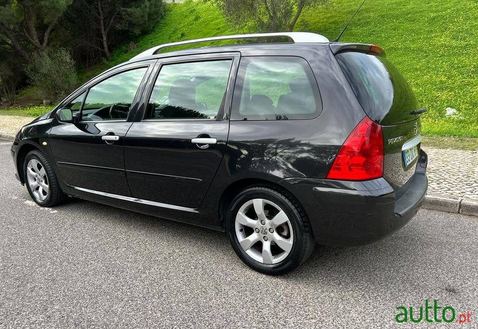 2007' Peugeot 307 Sw photo #5