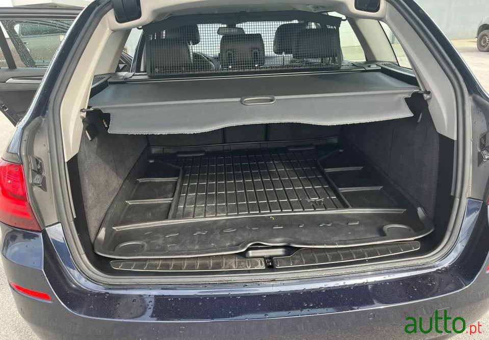 2015' BMW 520 photo #6