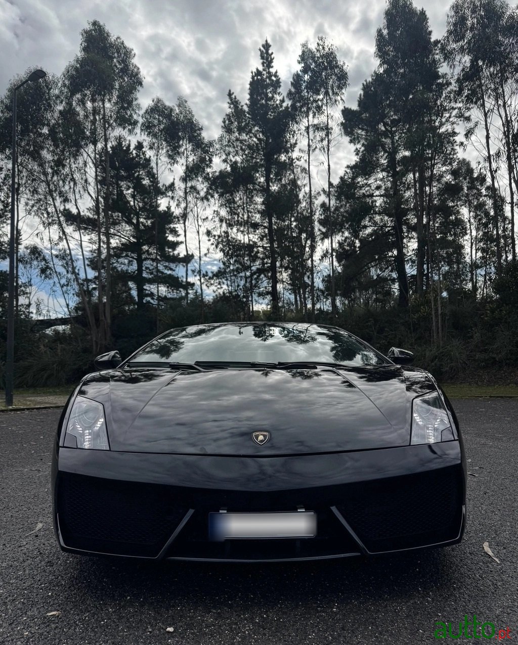 2009' Lamborghini Gallardo photo #3